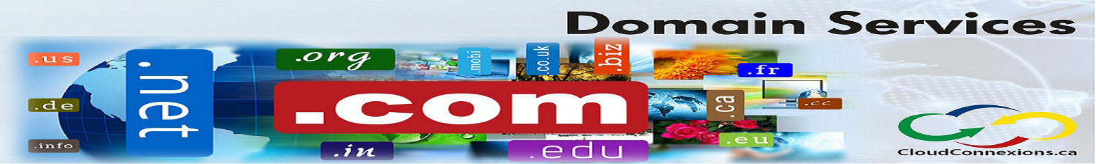 Domain Registration Pune